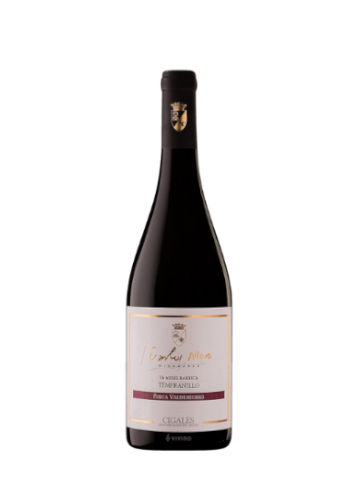 kaO0w6Nl-FineWines_CentenaryHill_Shiraz_43x2